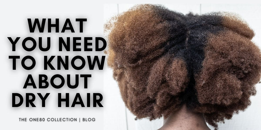 What you Need to Know About Dry Hair