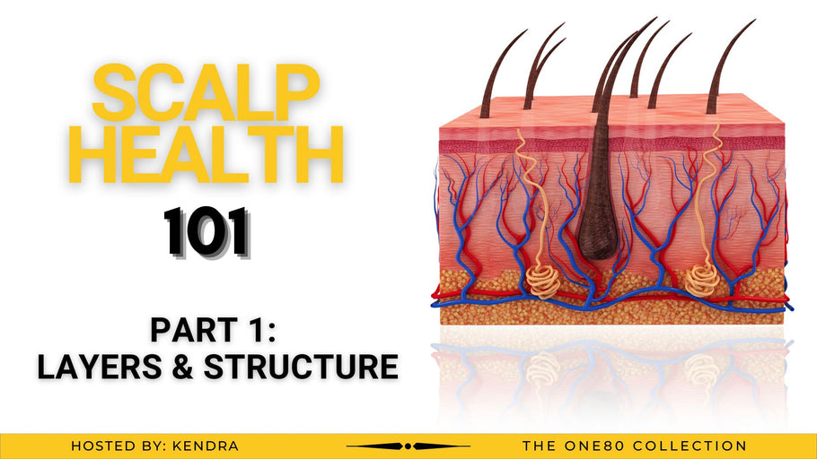 Scalp Health 101: Layers & Structure