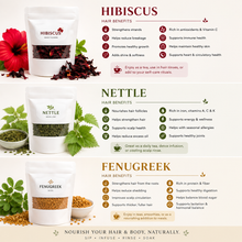 Load image into Gallery viewer, Seasonal Hair &amp; Body Wellness Box - Fall Edition